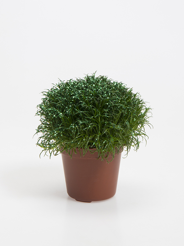 Colorina - Green