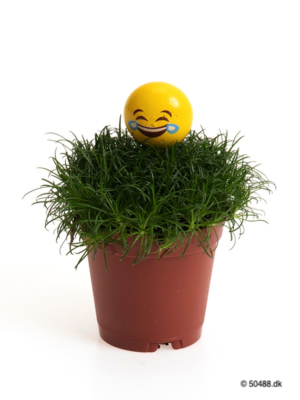 Sagina 5,5 cm Emoji