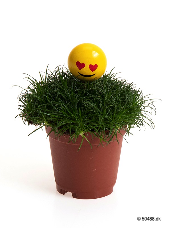 Sagina 5,5 cm Emoji