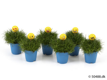 Sagina 5,5 cm Emoji