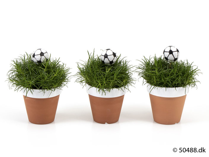 Football Terracotta – White border