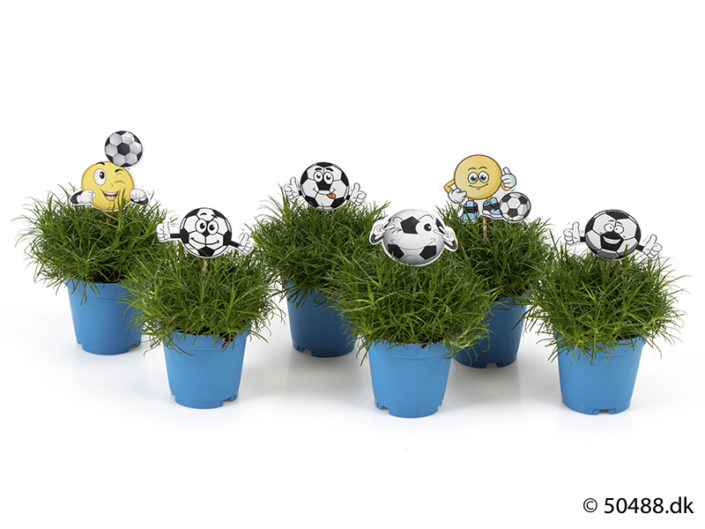 Football Smileys – Standard